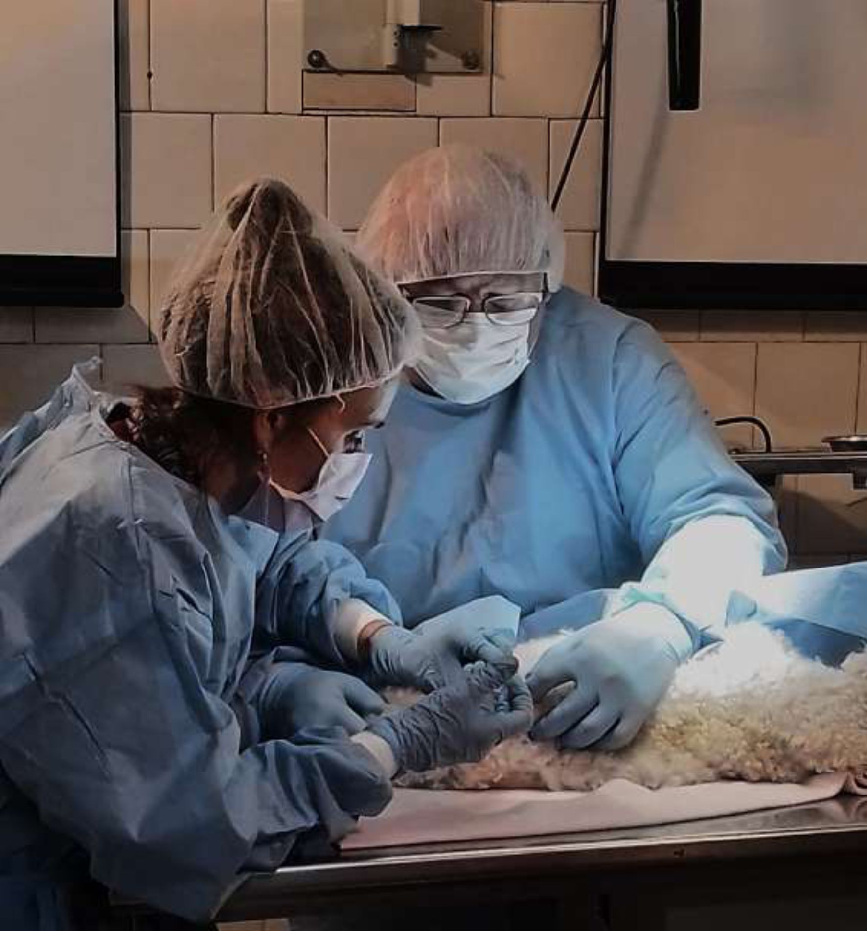 Investigación Científica