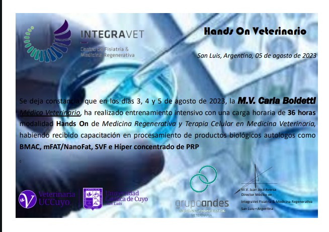 Certificado de Carla Boldetti