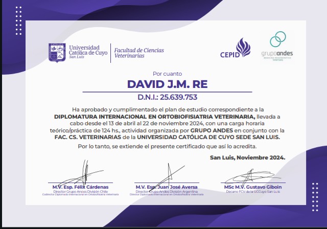 Certificado de David José María Re