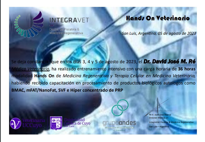 Certificado de David José María Re