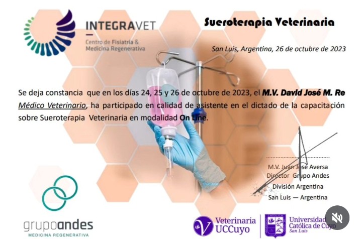 Certificado de David José María Re