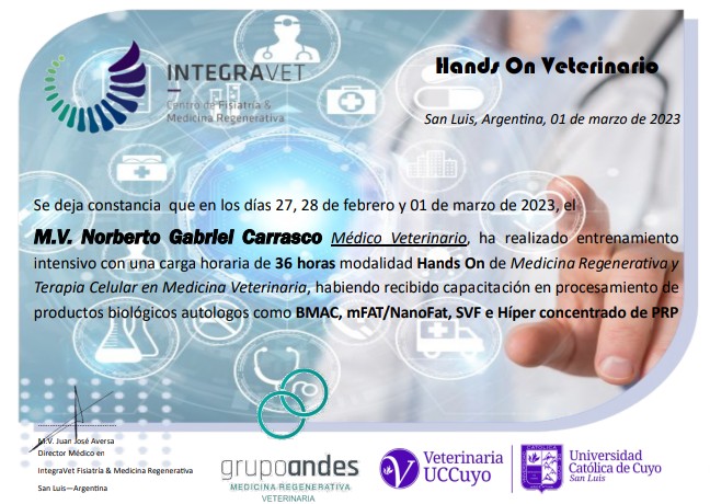 Certificado de Norberto Gabriel Carrasco