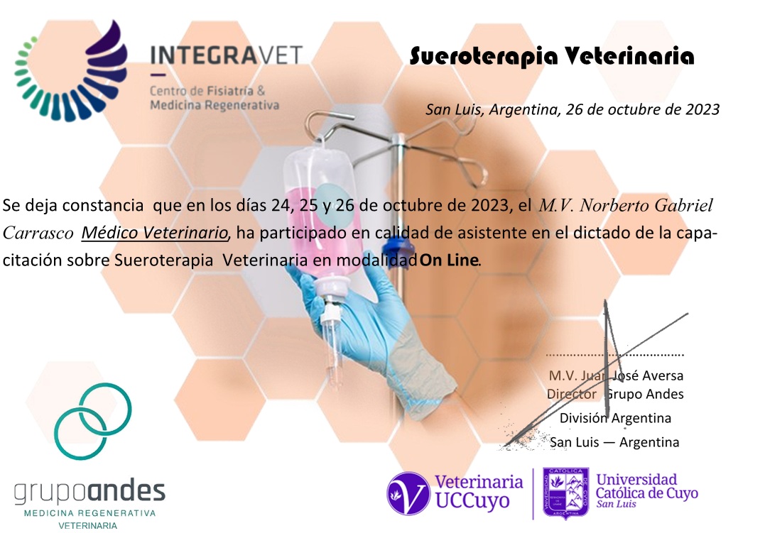 Certificado de Norberto Gabriel Carrasco